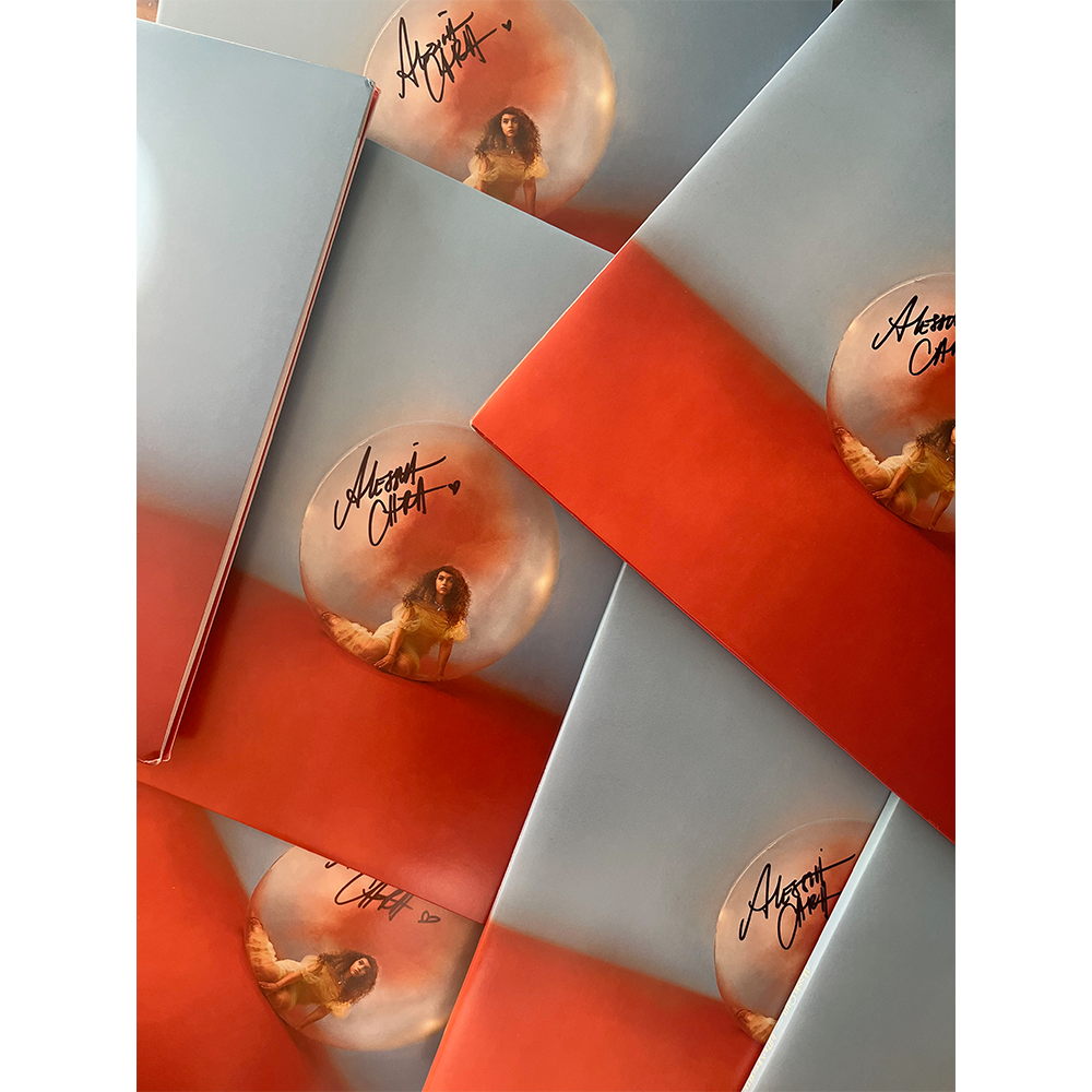'In The Meantime' Signed Vinyl signatures